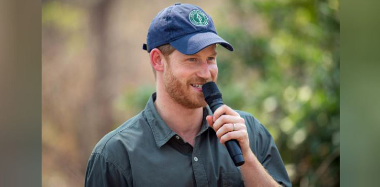 Prince Harry, Tv show