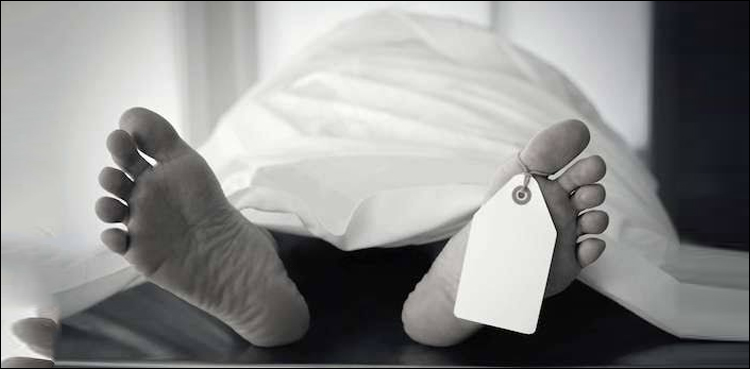 Karachi Rasheeda Bibi Dead