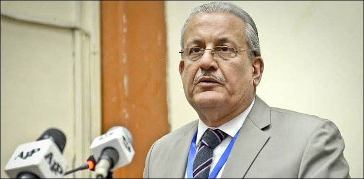 Raza Rabbani, delay in elections, ECP