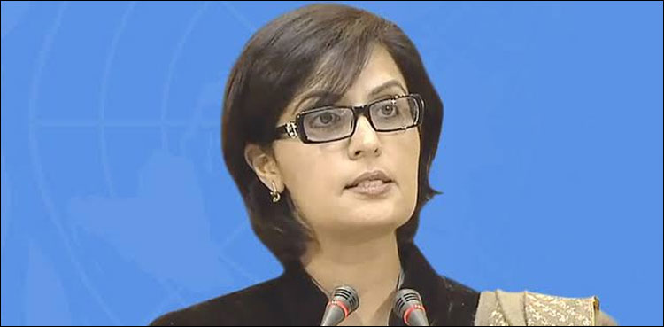 Sania Nishtar