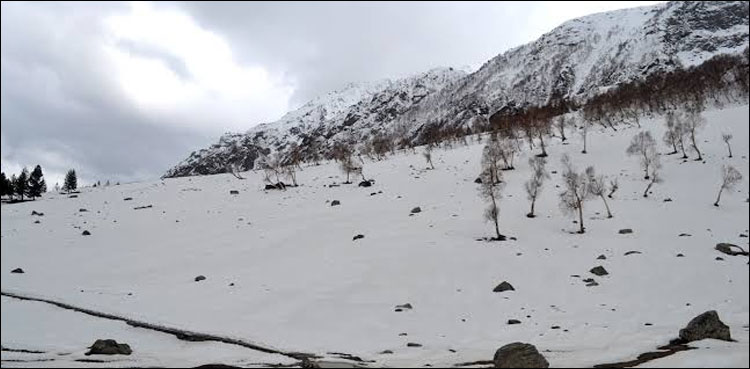Skardu snowfall, Mercury drops to -15