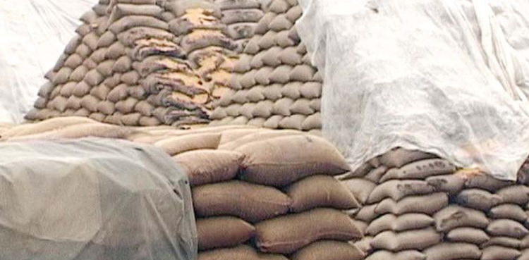 punjab wheat procurement target
