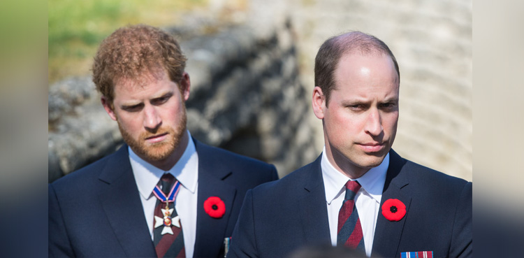 Prince William, Harry, royal crisis