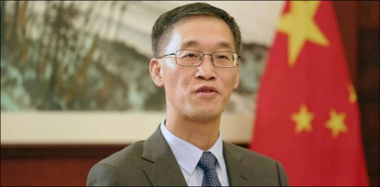 Chinese envoy, CPEC