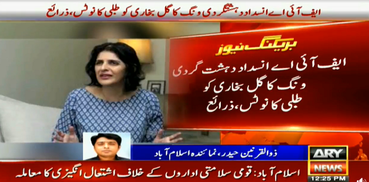 Gul Bukhari Defamatory Remarks