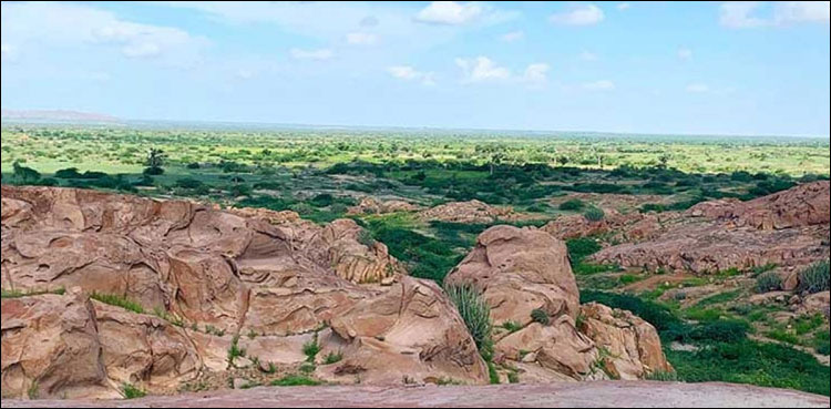 Karoonjhar hills excavation, SHC