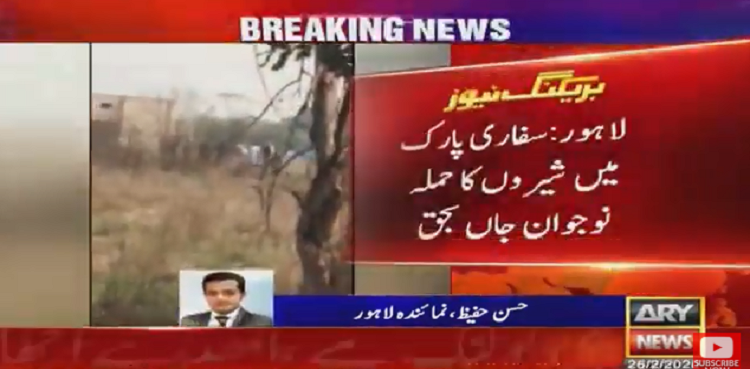 youth killed lions attack
