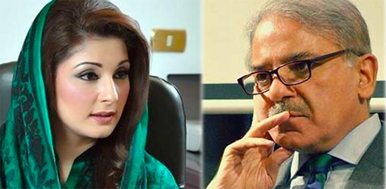 Maryam Nawaz, Shehbaz Sharif, PML-N