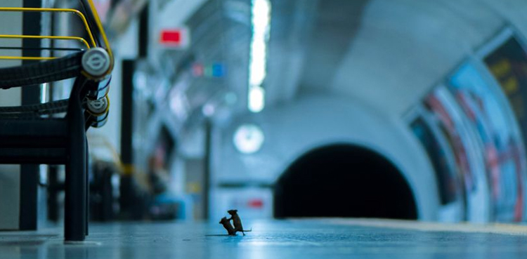 Photograph, People's Choice Award