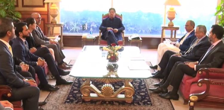 PM Imran Khan foreign investors