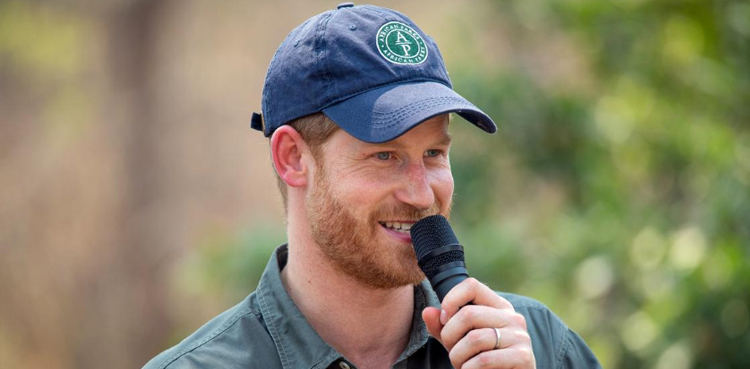 Prince harry, royal family, Meghan Markel,
