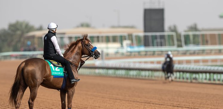 Saudi Cup