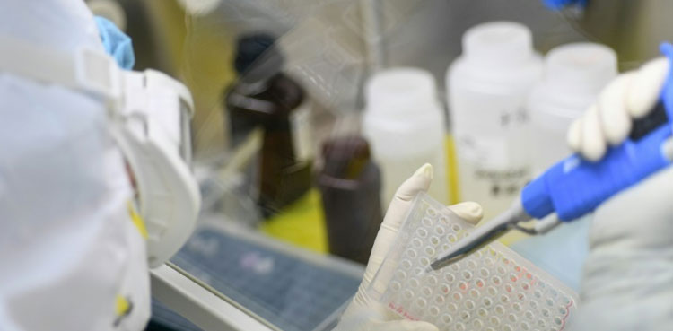 Scientists coronavirus vaccine