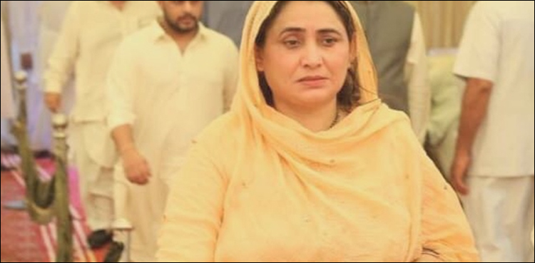 SHC, Shehnaz Ansari murder case, petition against acquittal
