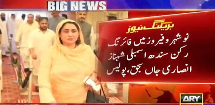 Shehnaz Ansari killing