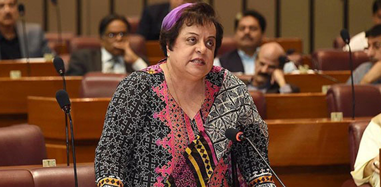 Shireen Mazari