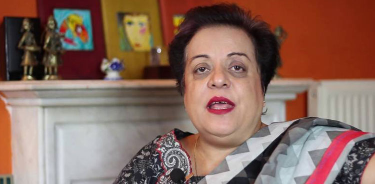 Shireen Mazari acquitted, MPO arrest, IHC
