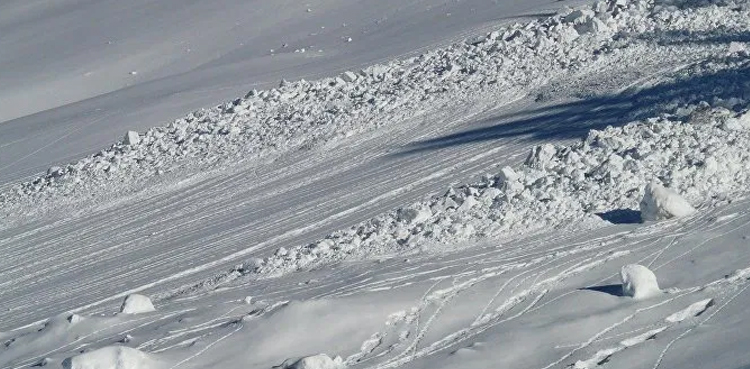 German tourists Norway avalanche