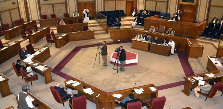 Balochistan Caretaker setup, parliamentary committee
