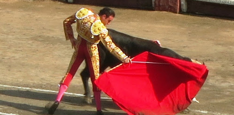 French lawmakers vote, bullfighting ban