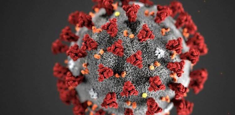 Sindh coronavirus death