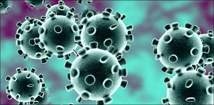 US Coronavirus