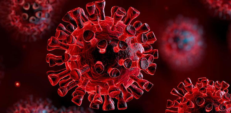 Coronavirus cases KP