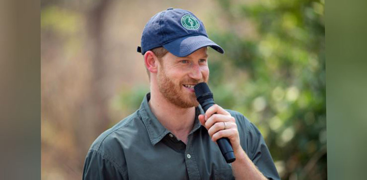 Prince Harry, interview