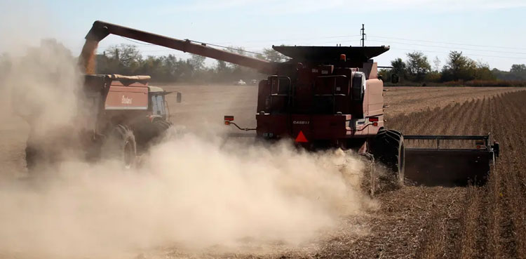 soybean dust, cargo handling, medical report