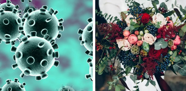 Coronavirus Spread