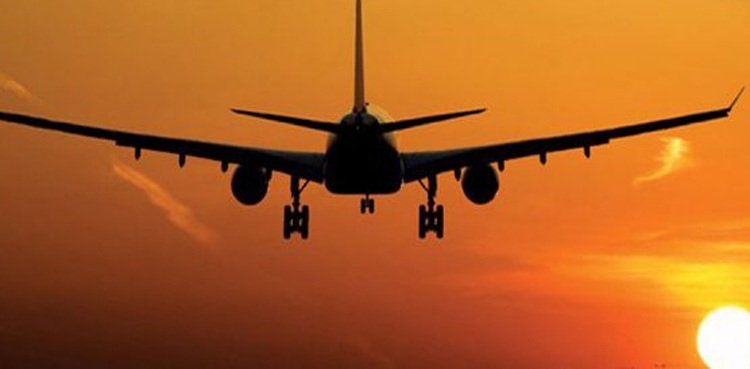 Travel Industry