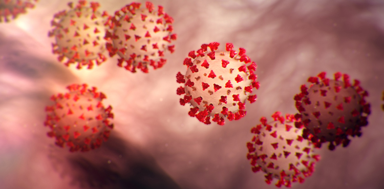 coronavirus, COVID-19