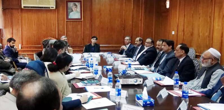 Draft plan economic diplomacy Moeed Yusuf