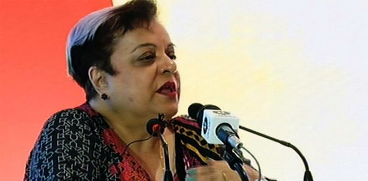 Shireen Mazari, sedition clause challenged, IHC