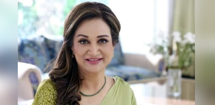 Bushra Ansari Dance Video