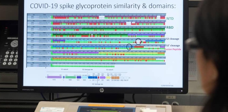 virtual supercomputer coronavirus research treatment