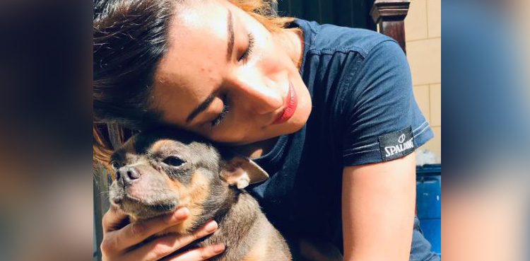 Mehwish Hayat, pet