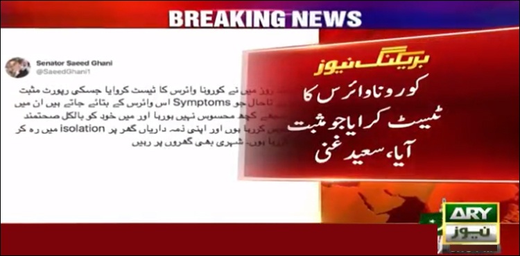 saeed ghani