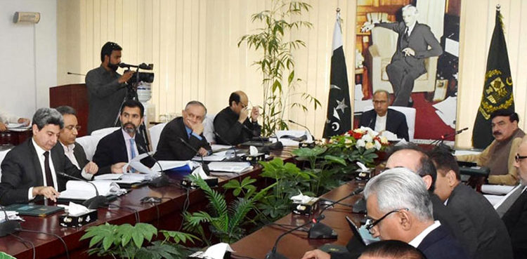 ECC cash programme labourers Hafeez Shaikh