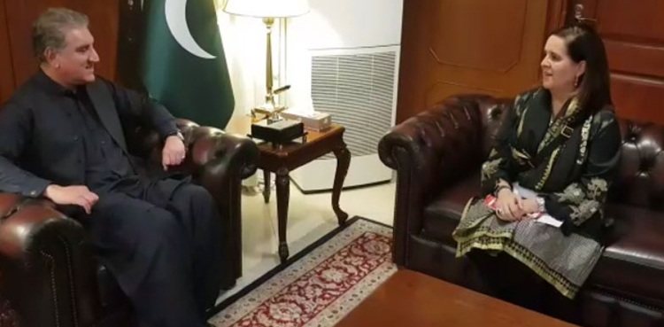 FM-Shah-Mahmood-Qureshi-IMF-official
