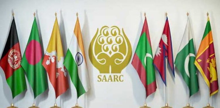 SAARC Video Conference
