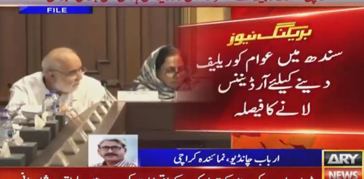 sindh government ordinance