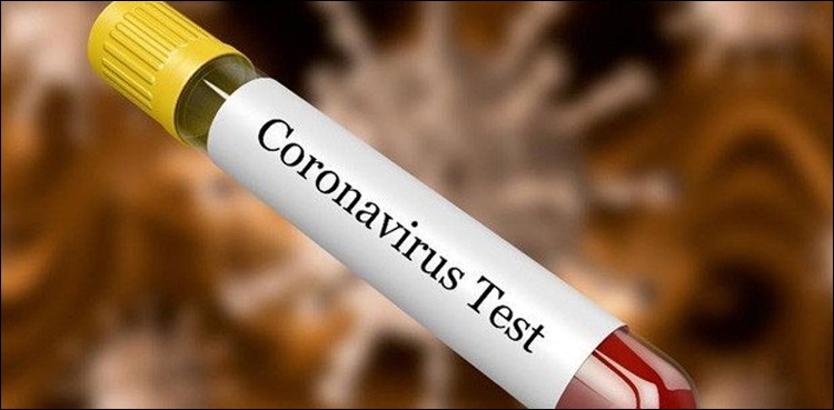 sindh covid-19, coronavirus task force, surge in cases