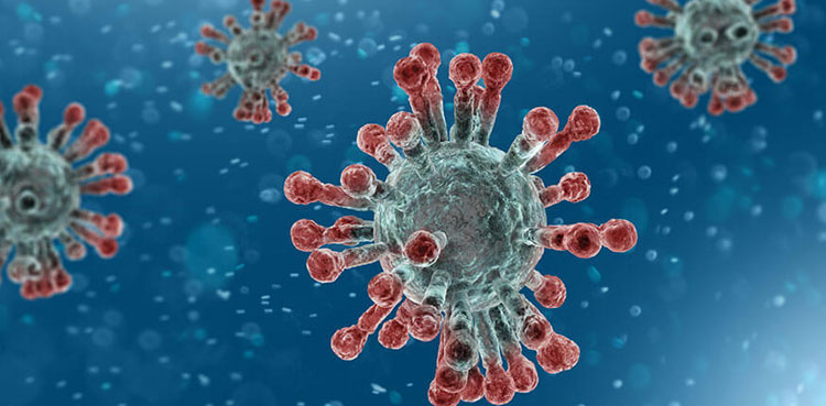 punjab coronavirus