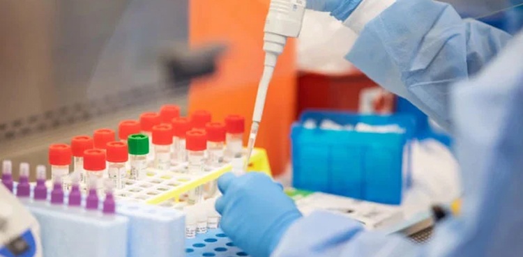 coronavirus test Sindh Murtaza Wahab GB