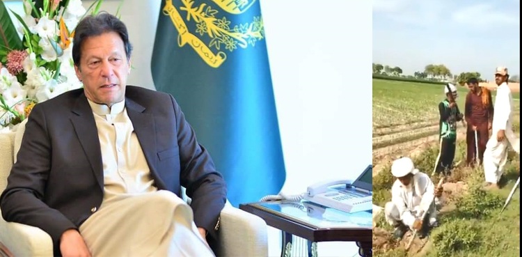 pm-imran-khan daily wagers