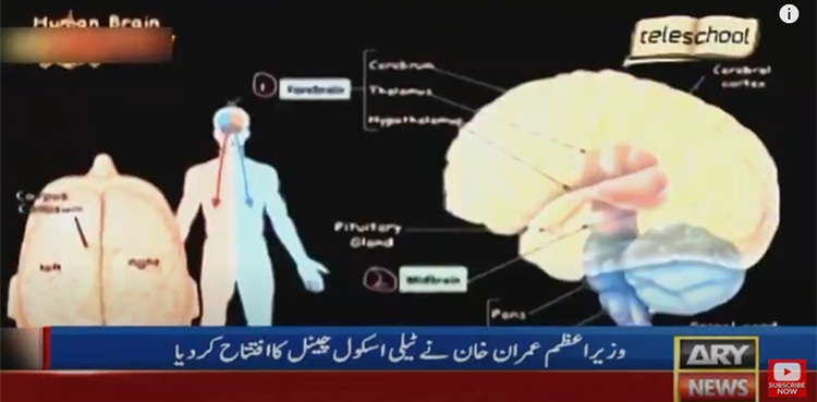 PM Imran Khan teleschool