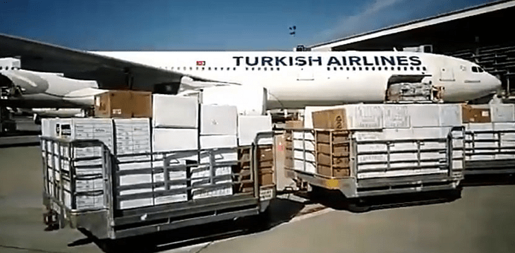 turkish plane coronavirus