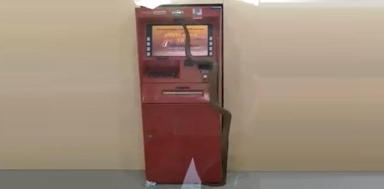 snake india atm