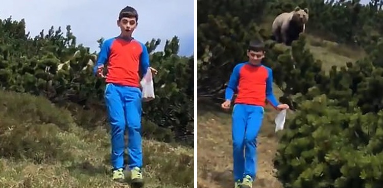 Boy wild bear viral video